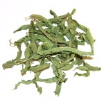 Verbena ganze Blätter